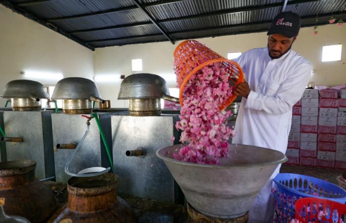 How the sustainable use of water is helping Saudi rose farms bloom into a global industry