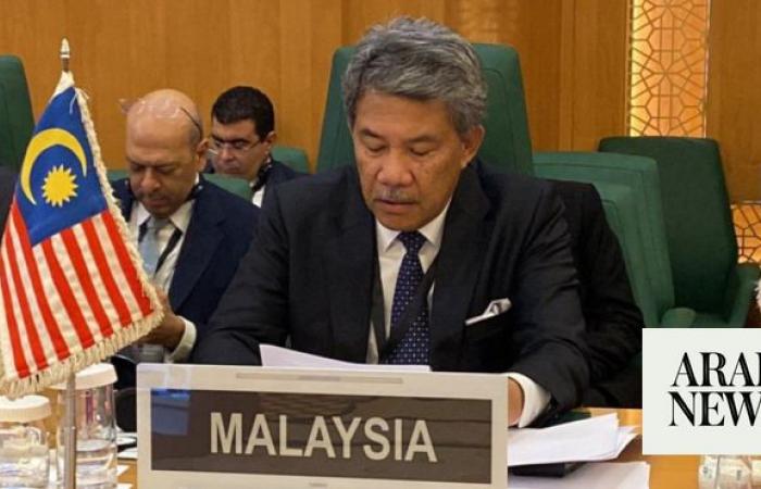 Indonesia, Malaysia urge UN to unite against Israel after latest massacre in Gaza