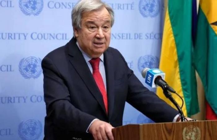 UN chief calls for permanent Africa Security Council seat