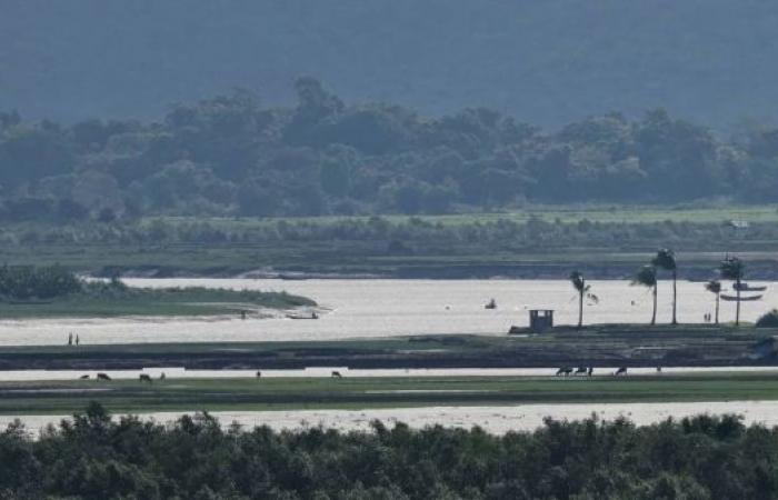 Hundreds of fleeing Rohingya killed in drone strikes as fears of ethnic cleansing mount in Myanmar