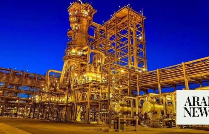 Saudi Arabia’s petchem sector boosted by new digital platform