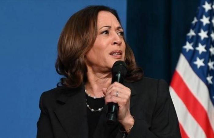 Harris rules out US arms embargo on Israel