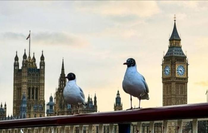 UK government moves to abolish hereditary peers from House of Lords in historic reform