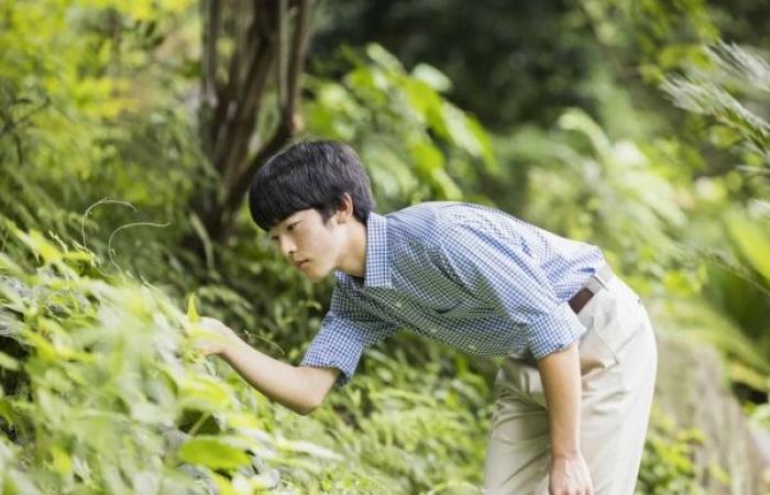 Japan's Prince Hisahito turns 18, becoming first male royal to reach adulthood in decades