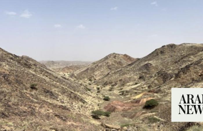 AMAK joins hands with UK firm to advance exploration in Saudi Arabia