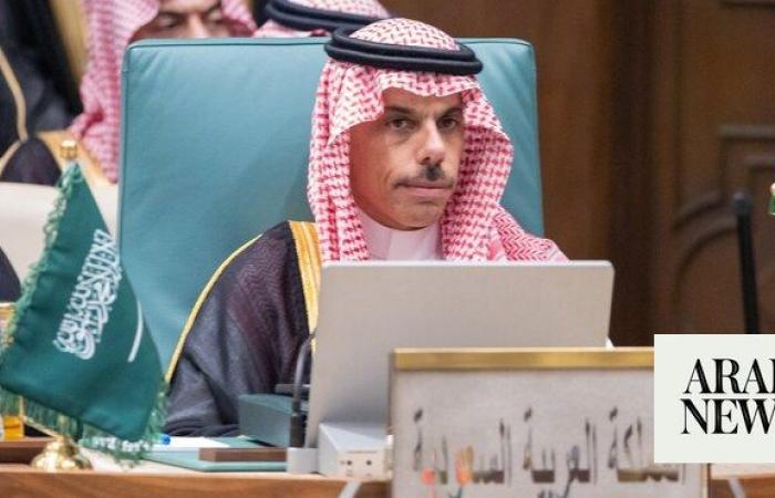 Saudi FM discuss Palestine, Syria and Somalia crises with counterparts in Cairo meeting