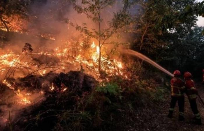 Thousands of firefighters battle 'raging' wildfires across Portugal