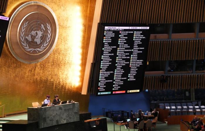 In historic resolution, UN members vote for Israel to withdraw from unlawful Palestine occupation within 12 months… but not US