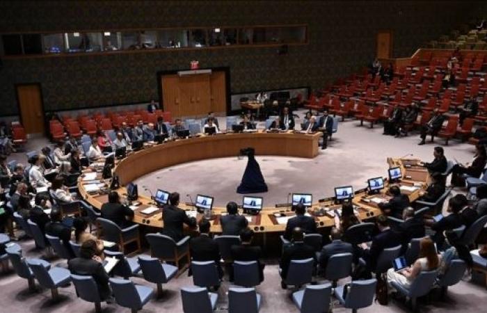 Finland to propose abolishing veto power for all UN Security Council members