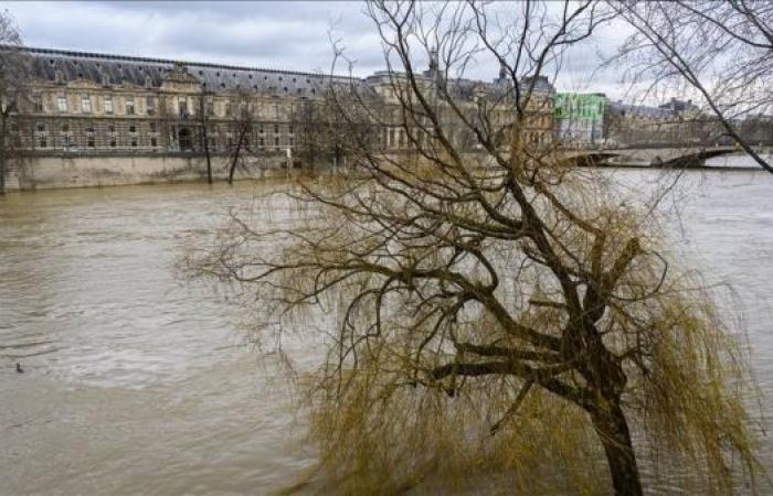 Heavy rainfall leads to flooding in Cannes