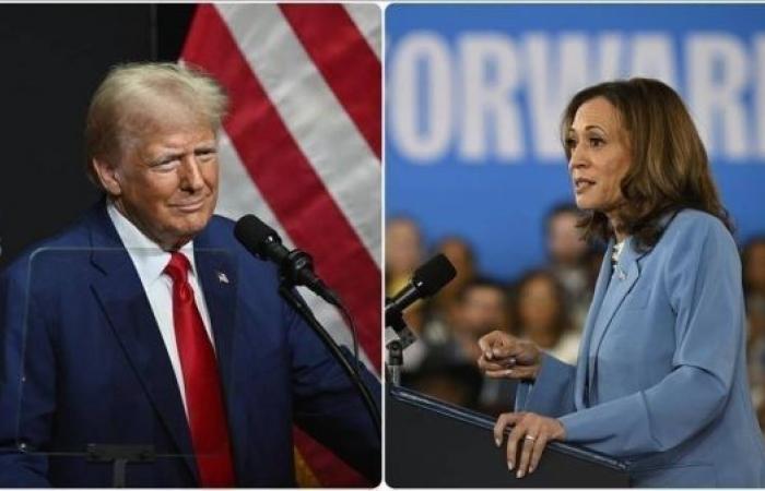 Recent polls show Harris with a slim lead over Trump ahead of November election