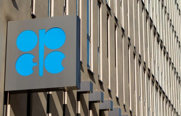 OPEC boosts long-term oil demand outlook, driven by developing world growth