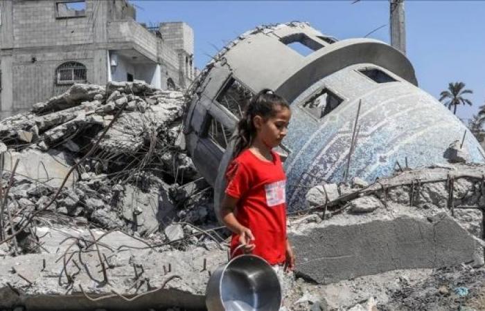 Gaza’s Ministry: Israel destroyed 79% of mosques in ongoing war