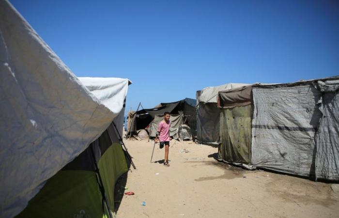 Gaza’s war debris crisis: One year of war leaves 42 million tonnes of rubble in Gaza, clearance could take billions, up to 14 years