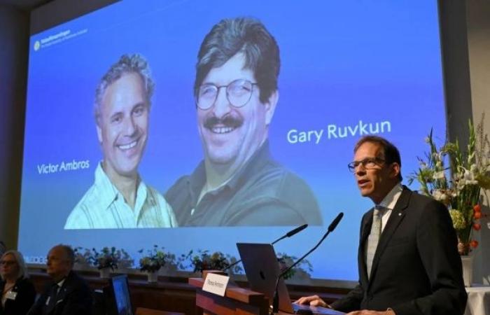 Nobel Prize goes to microRNA researchers