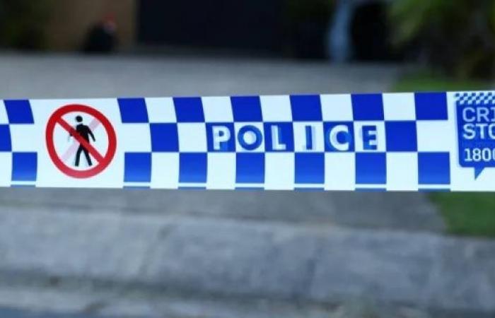 Australian woman's arm bitten off in dog attack