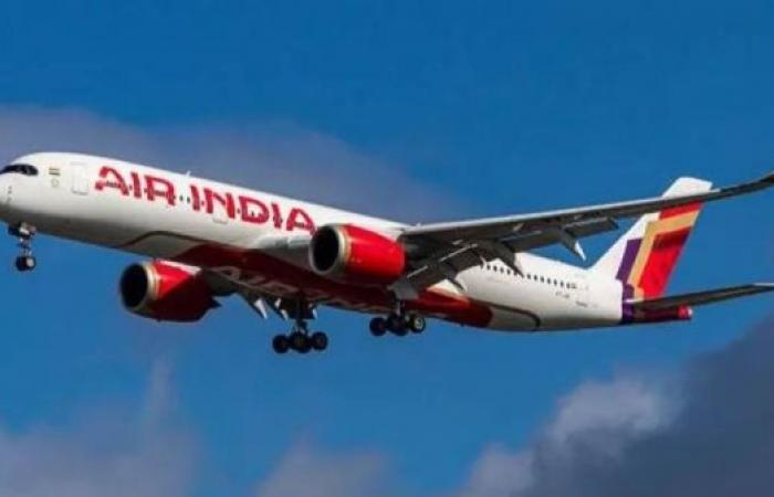 Hoax bomb threats spark panic for Indian airlines