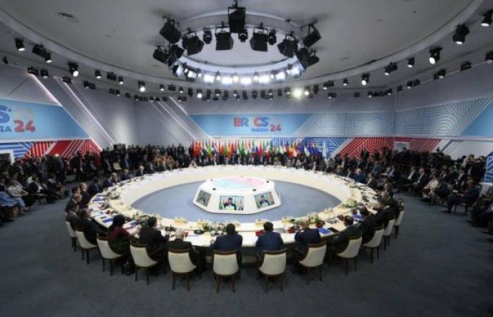 BRICS leaders call for action on land degradation ahead of COP16