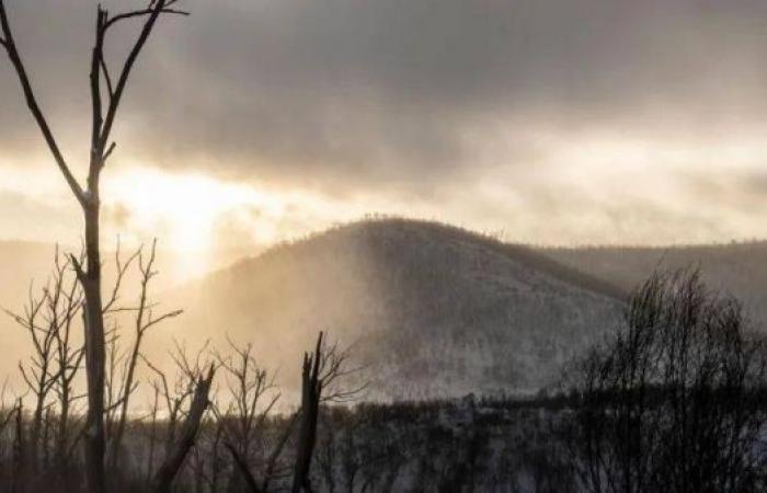 Missing woman found with snake bite after six days in mountains