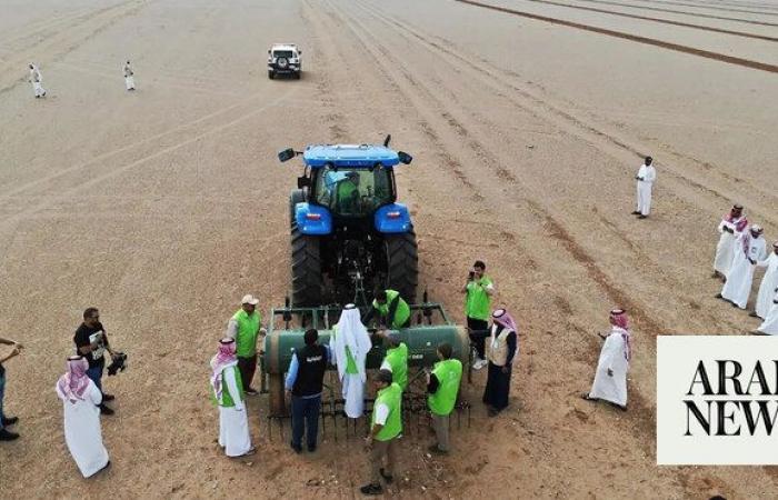 Madinah greening project plants trees, vegetation