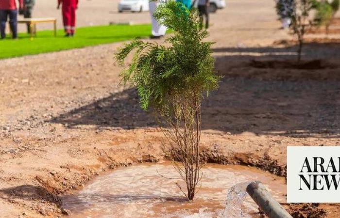 Thousands of volunteers join Madinah’s green future drive