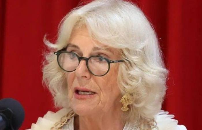 Domestic violence should not be taboo subject, says Queen Camilla 