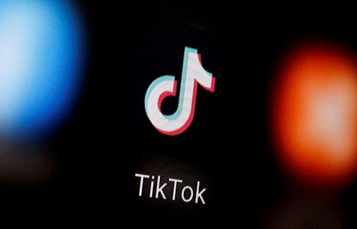 Seven French families sue TikTok for exposing their teens to harmful content, resulting in two dead at 15