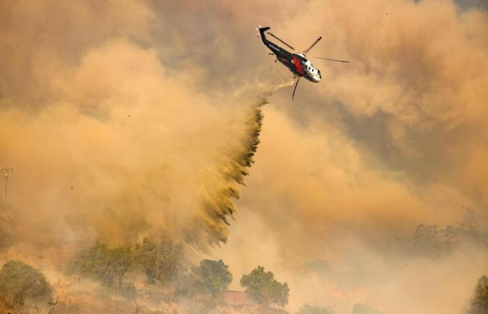 Thousands flee as hurricane-force winds drive ‘dangerously fast’ wildfire through Los Angeles suburbs