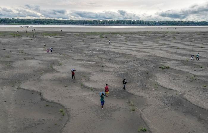 Record Amazon drought across South America leaves 420,000 children without food, water and schooling, Unicef calls for urgent aid