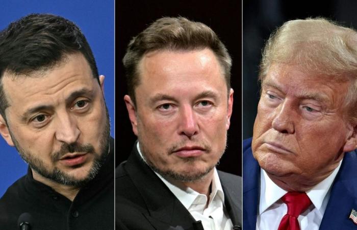 Elon Musk took part in Trump-Zelensky call: Ukrainian official