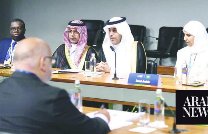 Deputy speaker of Saudi Shoura Council meets Italian official