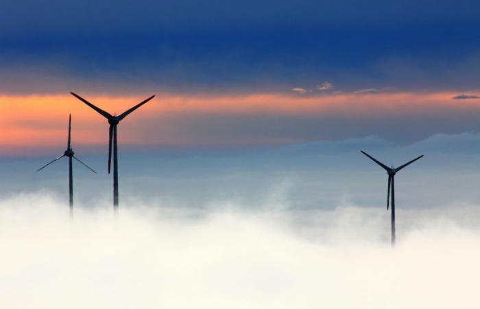 Man crushed to death by fan blade at Australian wind farm