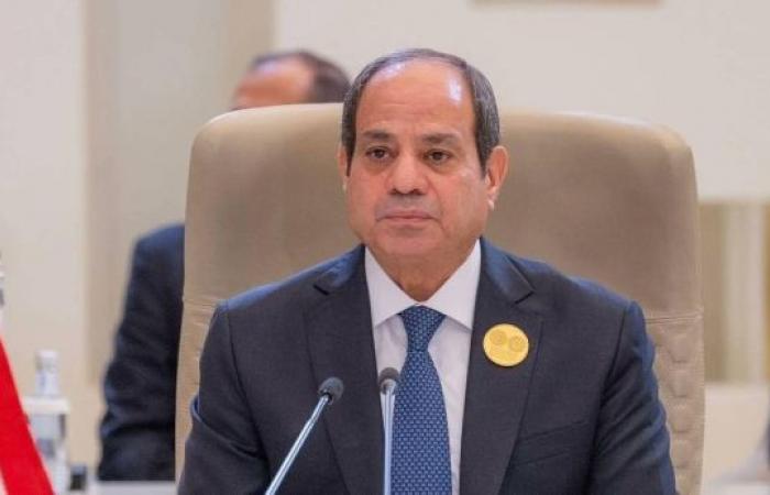 El-Sisi calls for establishment of independent Palestinian state