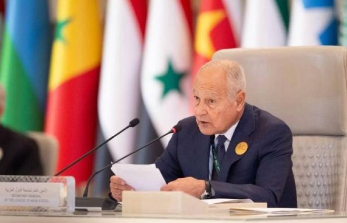 Aboul Gheit: Israel’s strategy aims to eradicate Palestinian community in Gaza through displacement