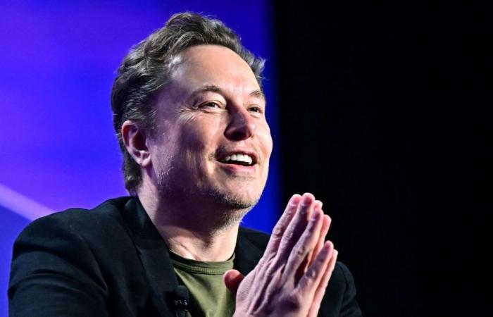 From Tesla to Doge: Why is Elon Musk being tapped by Trump to reshape US government efficiency?