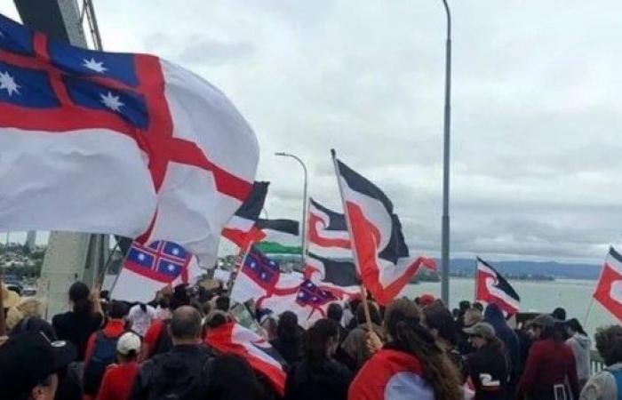 Maori haka in NZ parliament to protest at bill to reinterpret founding treaty