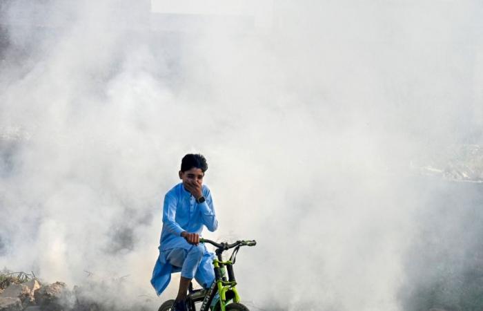 Pakistan’s anti-smog efforts hit hurdles amid calls for stronger action on major polluters