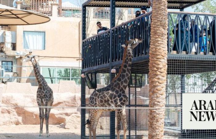 Riyadh Zoo returns with new interactive experiences as part of Riyadh Season