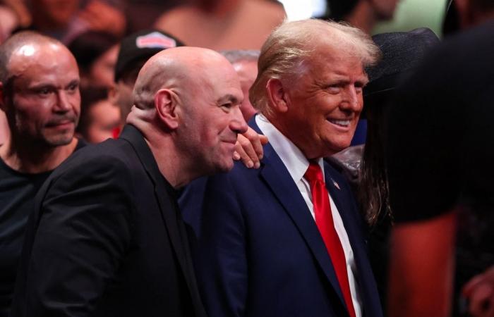 Trump plans to attend UFC fight at Madison Square Garden, sources say