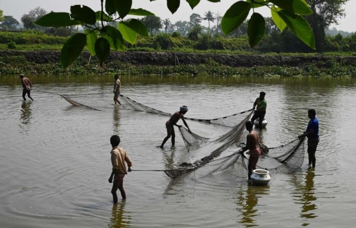 Tropical wetlands are unleashing a methane bomb, challenging global climate pledges; SE Asia among biggest contributors