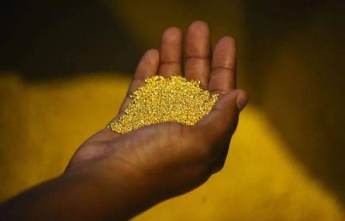 Mali wins $160m in gold mining dispute after detaining British businessman