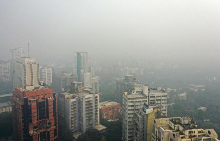 India's capital shuts schools because of smog