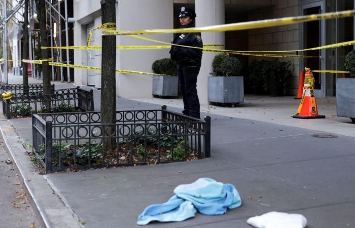 Two dead, one critical after New York triple stabbing spree, suspect arrested near UN