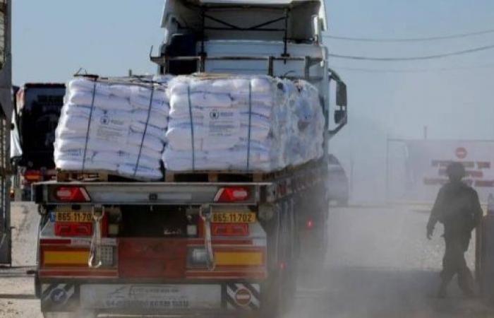 Almost 100 Gaza food aid lorries violently looted, UN agency says