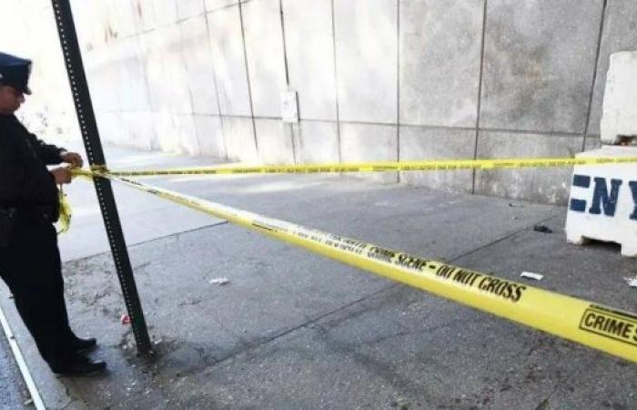 Two killed and one critically hurt in New York knife attacks