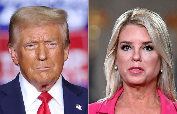 Trump taps Bondi as AG after Gaetz withdrawal, vows to end ‘weaponisation’ of Justice Dept