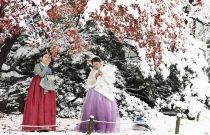 Seoul blanketed by heaviest November snow on record