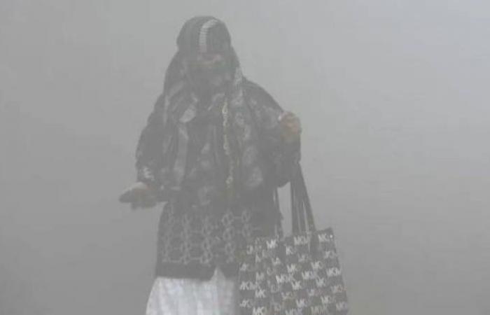 Families fleeing Delhi to escape deadly smog