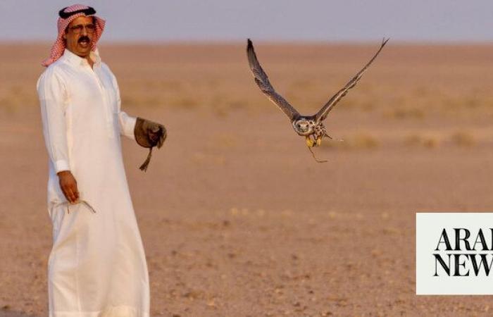 World’s falconers set for fierce contest in Riyadh