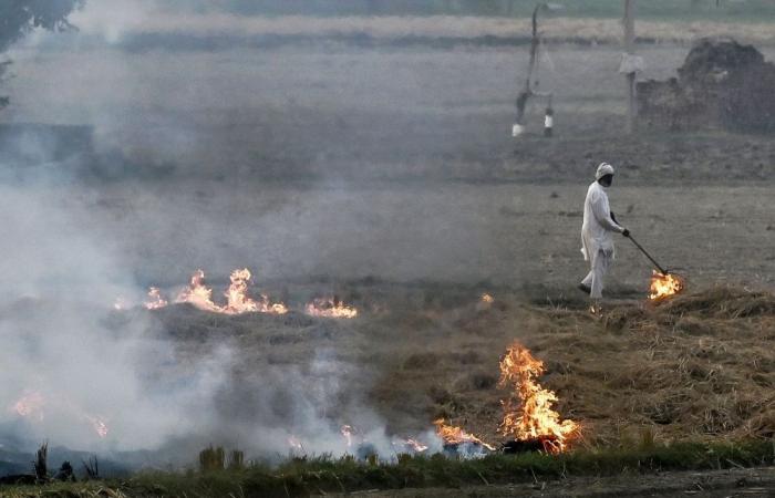 ‘We have no choice’: Why India’s farmers still turn to crop fires despite warnings, feeding toxic Delhi smog